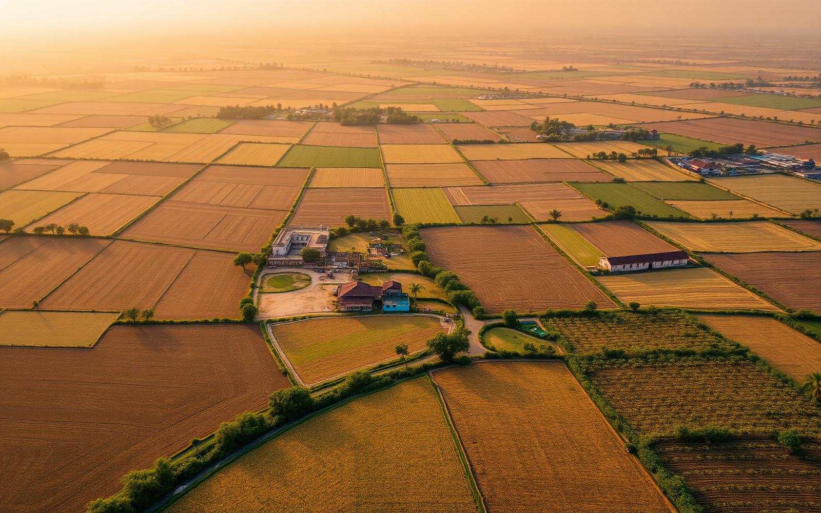 Aerial view of Bihar farmland patchwork
